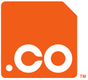 .co domain kaydı